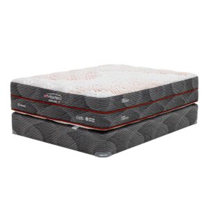 Colchón Immunity Dual-Base